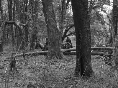Argentina - Lago Esperanza - Majestic Horse Riding Adventure,"Eye To Eye with the Condor"