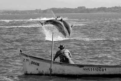 Brazil - Laguna - Unforgettable Trip to Brazil: Trekking, Surfing, Yoga, Whale Watching, and More - 8