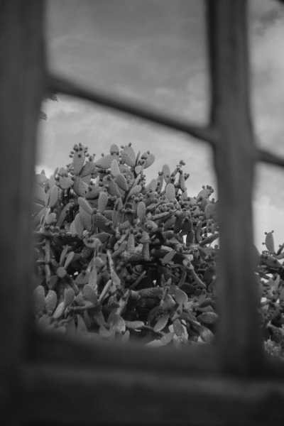 Spain - Lajares - Slow Living and Co-Working in Fuerteventura: El Cotillo - 3