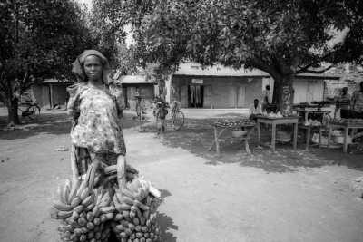 Uganda - Kampala - Wild Encounters: Gorilla and Chimpanzee Trekking Adventure in Uganda - 1