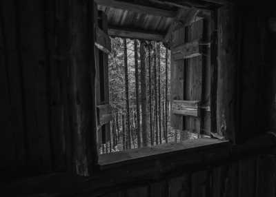 Finnland - Kuhmo - FINLAND BEAR WATCHING ADVENTURE 🐻🍯- Canoeing, hiking and other wild nature gems! - 3