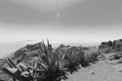 Spain - La Gomera - Co-working Fuerteventura and Tenerife ✈️🏝🌋 Island hopping with buggy tour through volcanoes, surfing, scuba diving, the biggest water park in Europe, clubbing and much more!