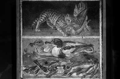 Italien - Naples - Capri Bliss: Live the Dolce Vita on This Paradise Island with Boat Tour Included - 6