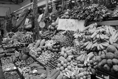 Portugal - Funchal - Tageswanderungen auf der Vulkaninsel Madeira mit schöner Standortunterkunft - 2