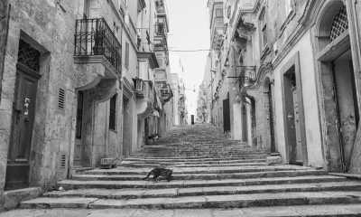 Malta - Gozo - Malta: Private sailing yacht, Quad bike Gozo island, Enjoy a relaxing week in the Med! - 3