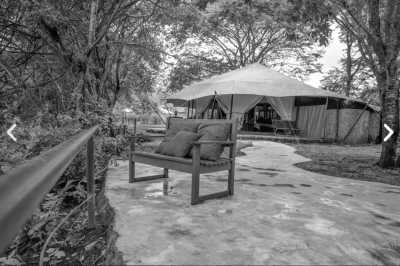 Tansania - Serval Wildlife - Serengeti Dreams: An Unforgettable Safari with Hot Air Balloon Magic - 1