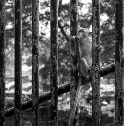 Südostasien - Federal Territory of Kuala Lumpur - 🇹🇭🇸🇬🇲🇾 Einzigartige Städtereise durch Thailand, Malaysia & Singapur! 4 Megacities in 8 Tagen - Bangkok, Singapur, Kuala Lumpur & Malakka - 2