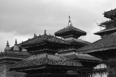 Nepal - Kathmandu - Short Trekking In Nepal - Poon Hill, Natural Beauty, Himalayas, Sunrise, Temples and Hiking with Locals - 2