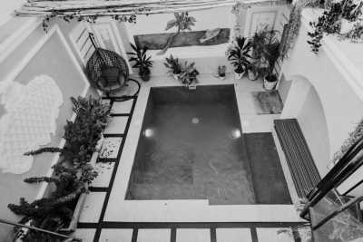 Tanzania - Zanzibar Island - Zanzibar and Mbudya: A Beach Paradise with Rich History and Delectable Food in Tanzania - 3