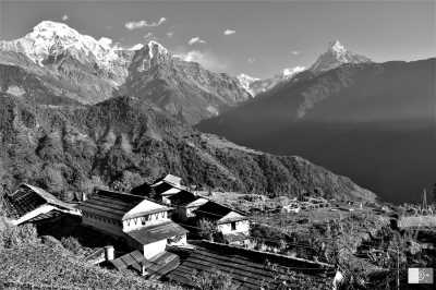 Nepal - Low Camp Guest House & Restaurant - Majestic Heights - Mardi Himal Trek, Nepal