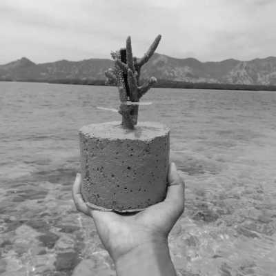 Indonesia - Rinca Komodo Travel - Social Project Trip and Exploring Komodo National Park, Island Hopping and more from Indonesia - 18