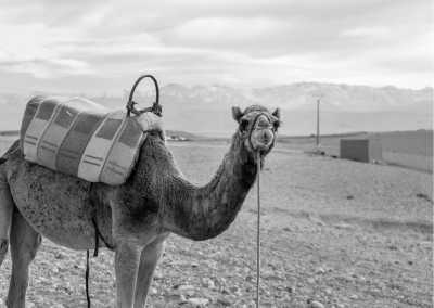 Morocco - Agafay - Escape to Marrakech, Morocco for 5 Days - 2