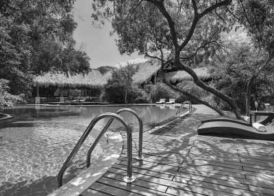 Sri Lanka - Trincomalee - Explore Sri Lanka in LUXURY!! Stunning Beaches, Mountains, Waterfalls and Jungles I 15 Days - 2