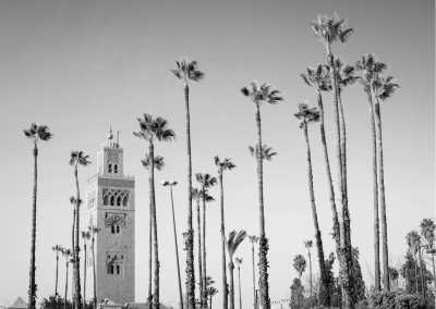 Morocco - Marrakesh - Moroccan Oasis: A Productive Workation in Marrakech - 1