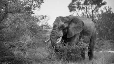 Südliches Afrika - Mietwagen-Rundreise Südafrika - JoinMyTrip