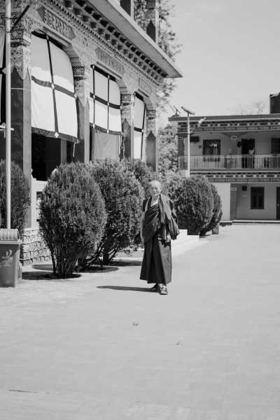 India - Bir Billing - Himalayan Odyssey: Discovering the Beauty of Himachal Pradesh in India - 6