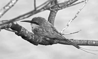 Sri Lanka - Elephant Transit Home - Escape to Sri Lanka - Ayurveda Spa Retreat, Yoga & Meditation - 4