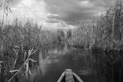 Southern Africa - Maun - Botswana Explorer - Entdecke Botswana's Natur und Tierwelt im 4x4