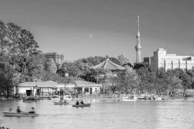 Ostasien - Akasaka - Best of Japan 🏯 |  Tokyo, Kyoto and Osaka | Full Japanese Experience👘🎍 - 2