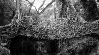 India - Cherrapunji - Explore the Abode of clouds in Meghalaya, India. - 2
