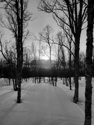 Norway - Tromsø - Northern Lights and Arctic Wonders: Winter Expedition in Norway - 1