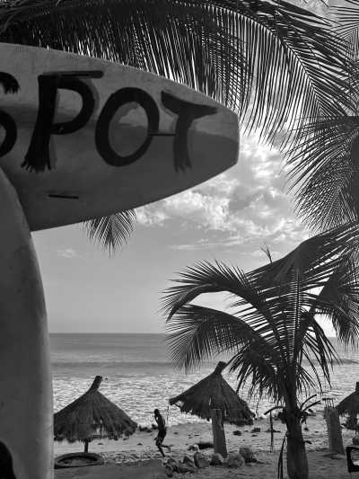 Senegal - Dakar - Senegal's Summer in Winter: Explore The Culture and Excitement in West Africa - 14