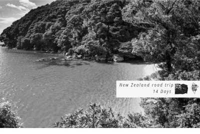 New Zealand - Kaiteriteri Beach - 🇳🇿🗺 Entdecke die Geheimnisse Neuseelands 🗺🇳🇿 - 4