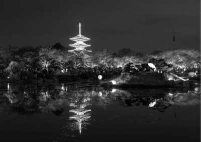 China - Dong Lake - Discover the Wonders of Wuhan, China: A Traveler's Experience