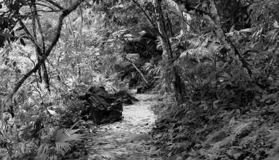 Colombia - Río Claro - Enjoy Medellin "City of Eternal Spring", Colombia ⛰️: Cool off in a clear river,  Immerse yourself in the Colorful Paisa Culture and Delight Yourself with the Best Coffee ☕ and a Crispy Chicharrón 🐽! - 12