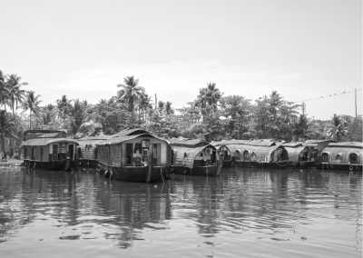 India - Authentic Kerala Experience: Unveiling the Beauty of God's Own Country, India - JoinMyTrip