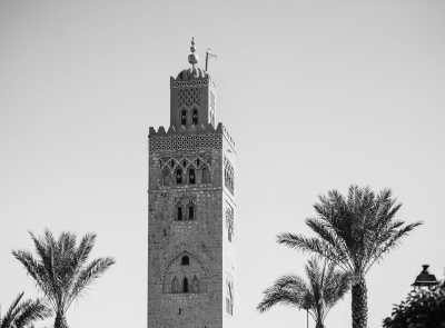 Morocco - Marrakesh - Exploring Marrakesh and Essaouira, Morocco