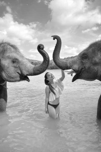 Thailand - Bathing with Elephants - Swimming with Elephants and Snorkeling in Phuket, Thailand: Island Paradise, Majestic Elephants, Spectacular Snorkeling, and Local Cuisine - 2