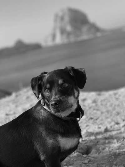 Spanien - Punta Galera - A week of yoga and excursions exploring the island of Ibiza - 12