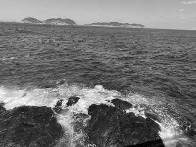 Japan - Karatsu Shrine - Experience Karatsu Kunchi Floats Festival and Autumn Cosmos Flowers Overlooking the Ocean in Japan - 3