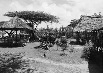 Kenya - Lamu - Wild adventure in Lamu, Kenya 🐘 - Private room (fits 1 pax) - 1