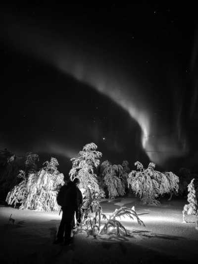 Sweden - Lannavaara - Wild North Expedition Above The Arctic Circle - Snowmobiling, Northern Lights & Dog Sledding - 1