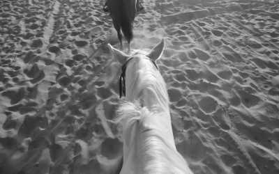 Egypt - Pyramiden von Gizeh - Egypt from A to Z with Middle East Expert - Pyramids, Nile cruise, horseback riding, balloon ride & much more - 3