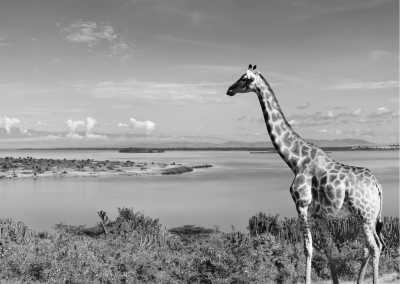 Ghana - Visiting Ghana's Mole National Park 🦒 - JoinMyTrip