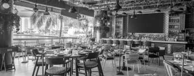 Mexico - Cancún - Unforgettable Yucatan Adventure & Discovery: Exploring Cancun, Playa del Carmen, and Tulum! 🌴 - 8