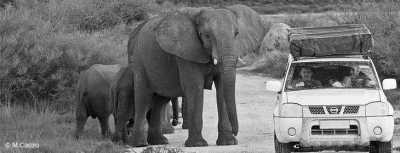 Sub-Saharan Africa - Namibia, Botswana, and Zimbabwe Safari trough Africa - JoinMyTrip