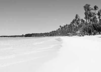 Dominican Republic - Punta Cana - Punta Cana 🌴 (Caribbean)☀️All-Inclusive (💻 co-working optional)🍹Adults Only Resort - 8