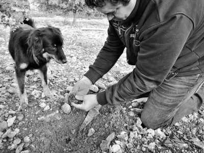 Spain - Metauten - Gastro tour in Spain. Explore Navarras Vibrant Cuisine and Atmosphere on Seven-Day Foodie Adventure - 1