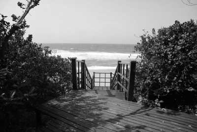 South Africa - Durban - South African Odyssey: From Cape Town to Kruger and Beyond - 7