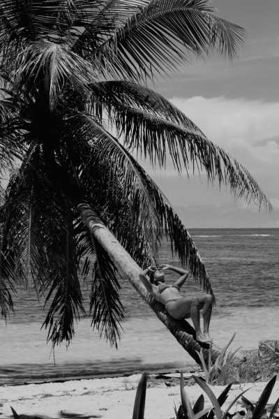 Costa Rica - Playa Carrillo - 🌴 Costa Rica Remote Jungle & Beach Adventure 🌊 - 2