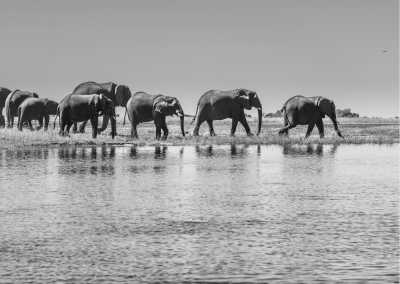 Sub-Saharan Africa - Wonders and Wildlife of Southern Africa - JoinMyTrip