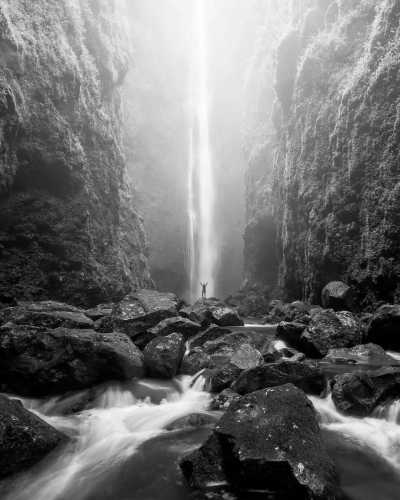 Vereinigte Staaten - Hale Akua Garden Farm & Eco-Retreat - Phoenix Rising Wellness and Culture Retreat - 3