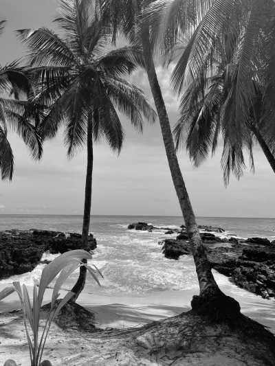 Sao Tome and Principe - São Tomé and Príncipe - Travel to São Tomé and Principe: Africa’s Hidden Paradise Must Explore