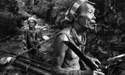 Indonesia - Siberut Island - Exploring the exotic west Sumatra, Indonesia ☀️ Surfing, hikes, culture and MORE - 3