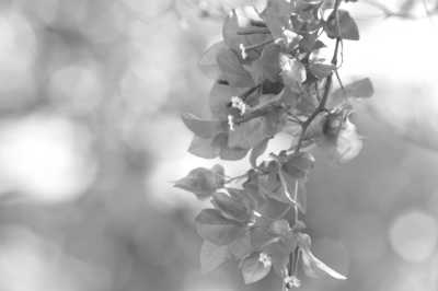 Spain - Santa Cruz, Seville - Girls Trip to Spain: Seville to Cordoba in a Luxury Apartment with Pool 🤩 - 2