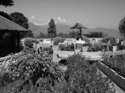 India - Darjeeling - Amazing India - Eastern Delight in Darjeeling and surroundings❗ - 3